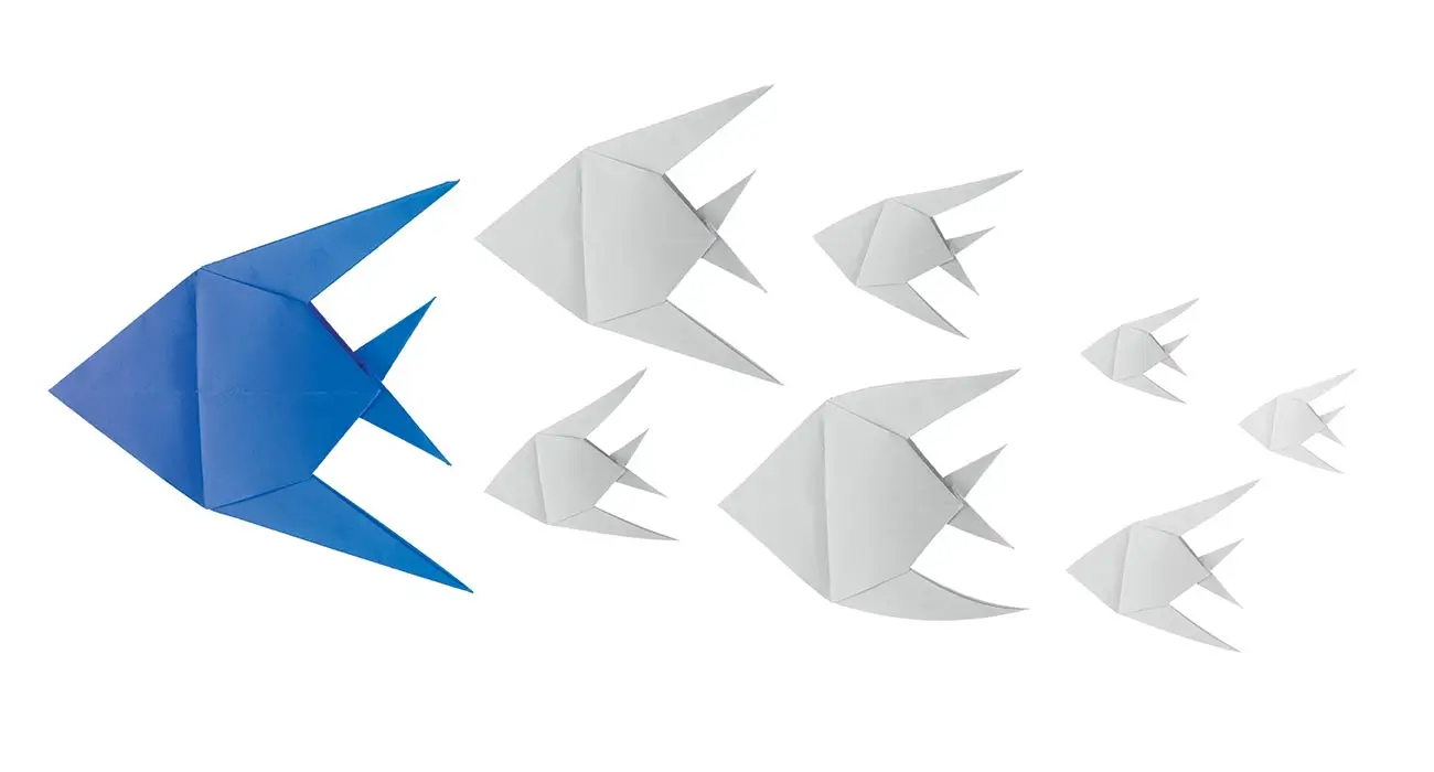 Developing an overarching campaign plan and identity